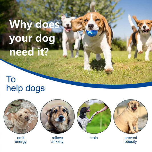 Dog Ball - Smart Toy for Small and Medium Dogs, Automatic Moving Ball, Rotating & Bouncing, Durable TPU+PC Shell, Toys That Kee