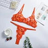 Night Wear Sexy Lace Two Piece Set Bra and G String Briefs Panty Set Transparent Erotic Sexy Lingerie Woman Lingerie Erotic