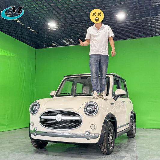 High-Speed Adult Electric Cars Made in China New Energy Vehicles