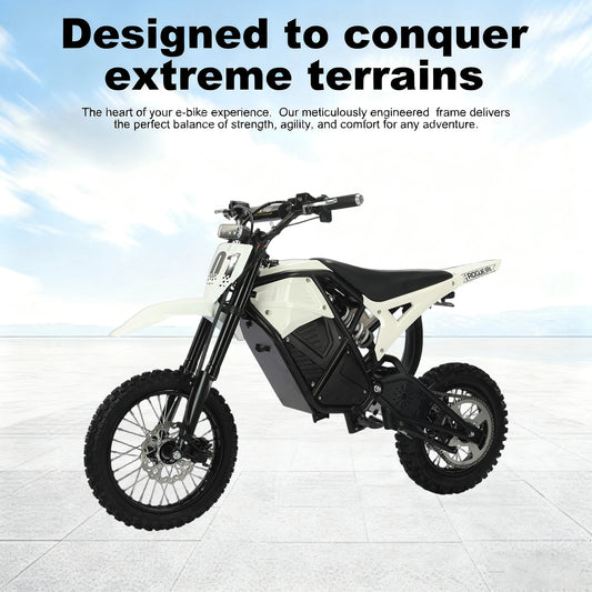 2000W High Torque Adults Teenager 48V Dirt Bike Electric Bicycle Motorcycle with Hydraulic Dis Brake