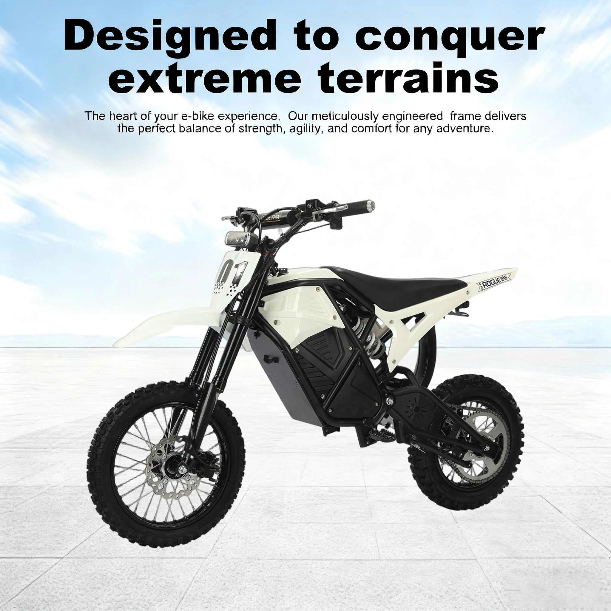 2000W High Torque Adults Teenager 48V Dirt Bike Electric Bicycle Motorcycle with Hydraulic Dis Brake