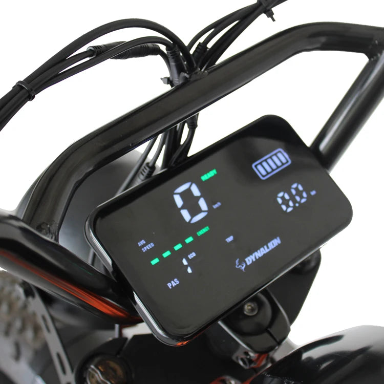 Dynalion 48V 750W 1000W Velo Electrique Retro Dirt Road E Bike Fat Bike Electric Dynalion Ready to Ship Stock Ebike