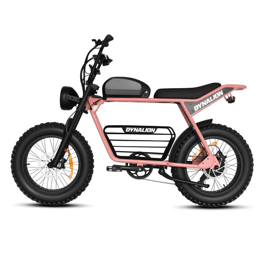 High Quality Electric Fat Bike