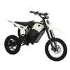 US Warehouse Electric Road Dirt Bike 48V Lithium Battery Electric Fat Bike Motorcycle