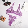 Night Wear Sexy Lace Two Piece Set Bra and G String Briefs Panty Set Transparent Erotic Sexy Lingerie Woman Lingerie Erotic