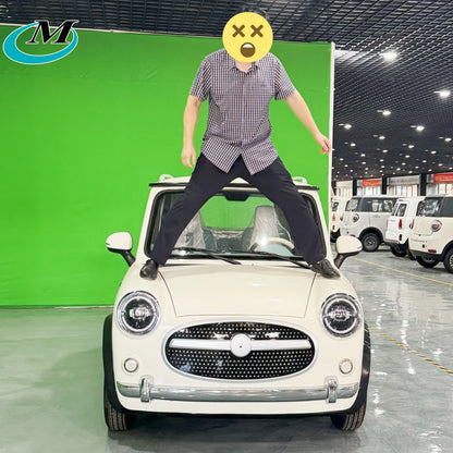 High-Speed Adult Electric Cars Made in China New Energy Vehicles