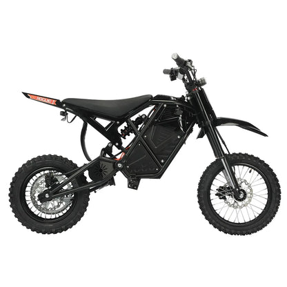 US Warehouse Electric Road Dirt Bike 48V Lithium Battery Electric Fat Bike Motorcycle