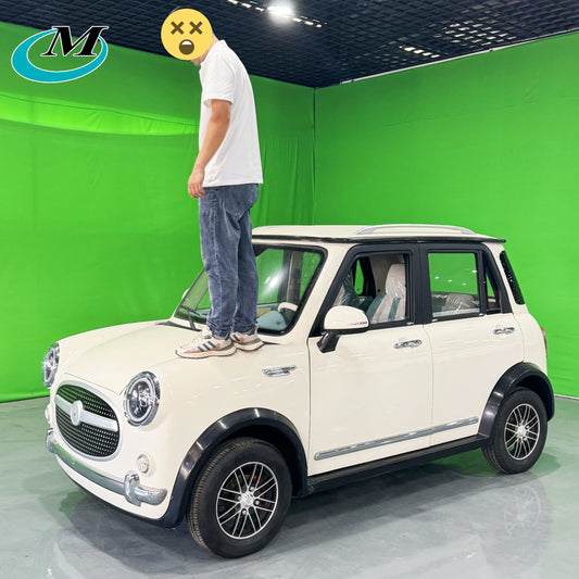 High-Speed Adult Electric Cars Made in China New Energy Vehicles