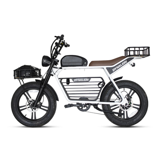 Dynalion 48V 750W 1000W Velo Electrique Retro Dirt Road E Bike Fat Bike Electric Dynalion Ready to Ship Stock Ebike