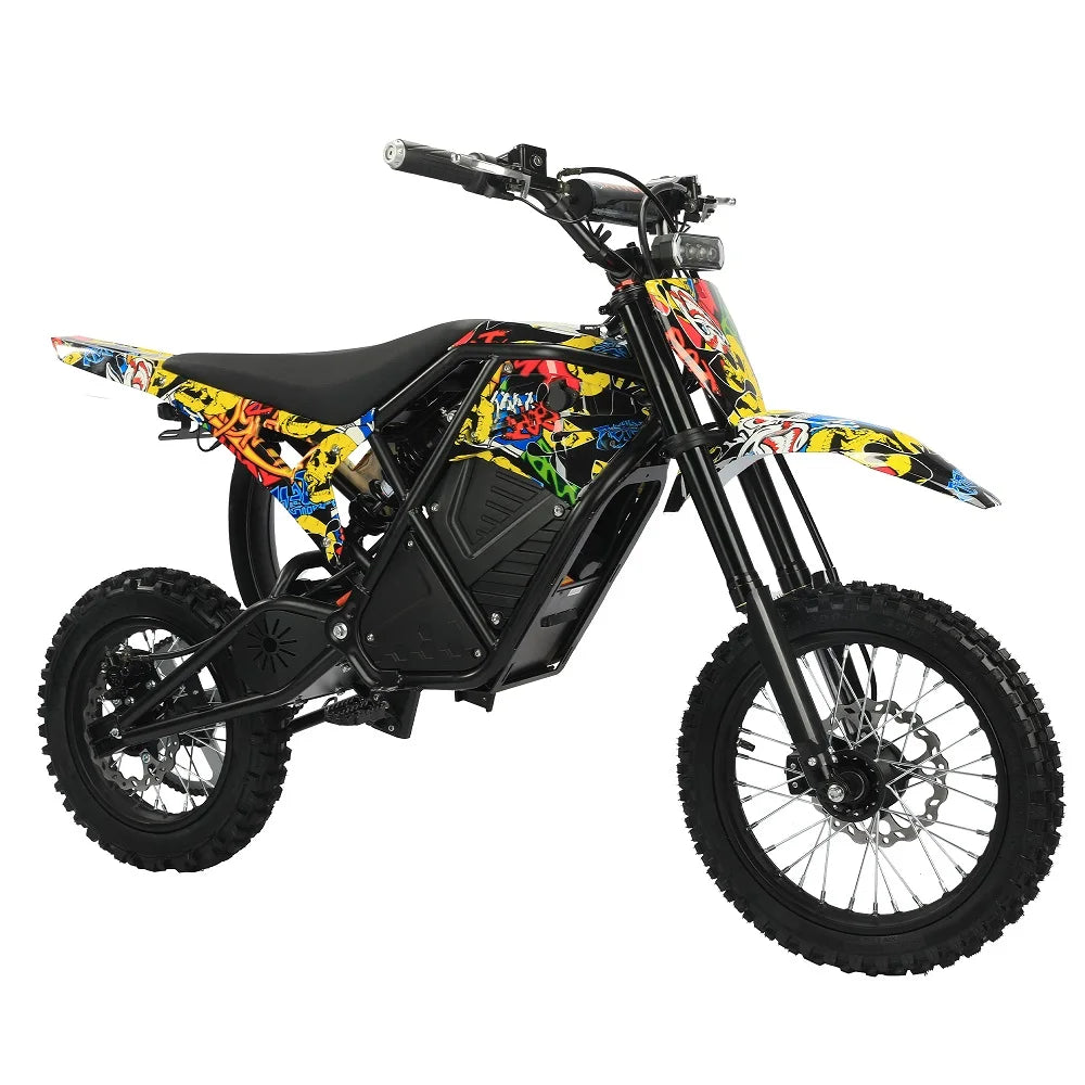US Warehouse Electric Road Dirt Bike 48V Lithium Battery Electric Fat Bike Motorcycle