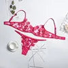 Night Wear Sexy Lace Two Piece Set Bra and G String Briefs Panty Set Transparent Erotic Sexy Lingerie Woman Lingerie Erotic