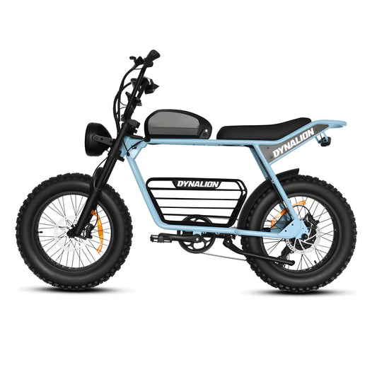 High Quality Electric Fat Bike