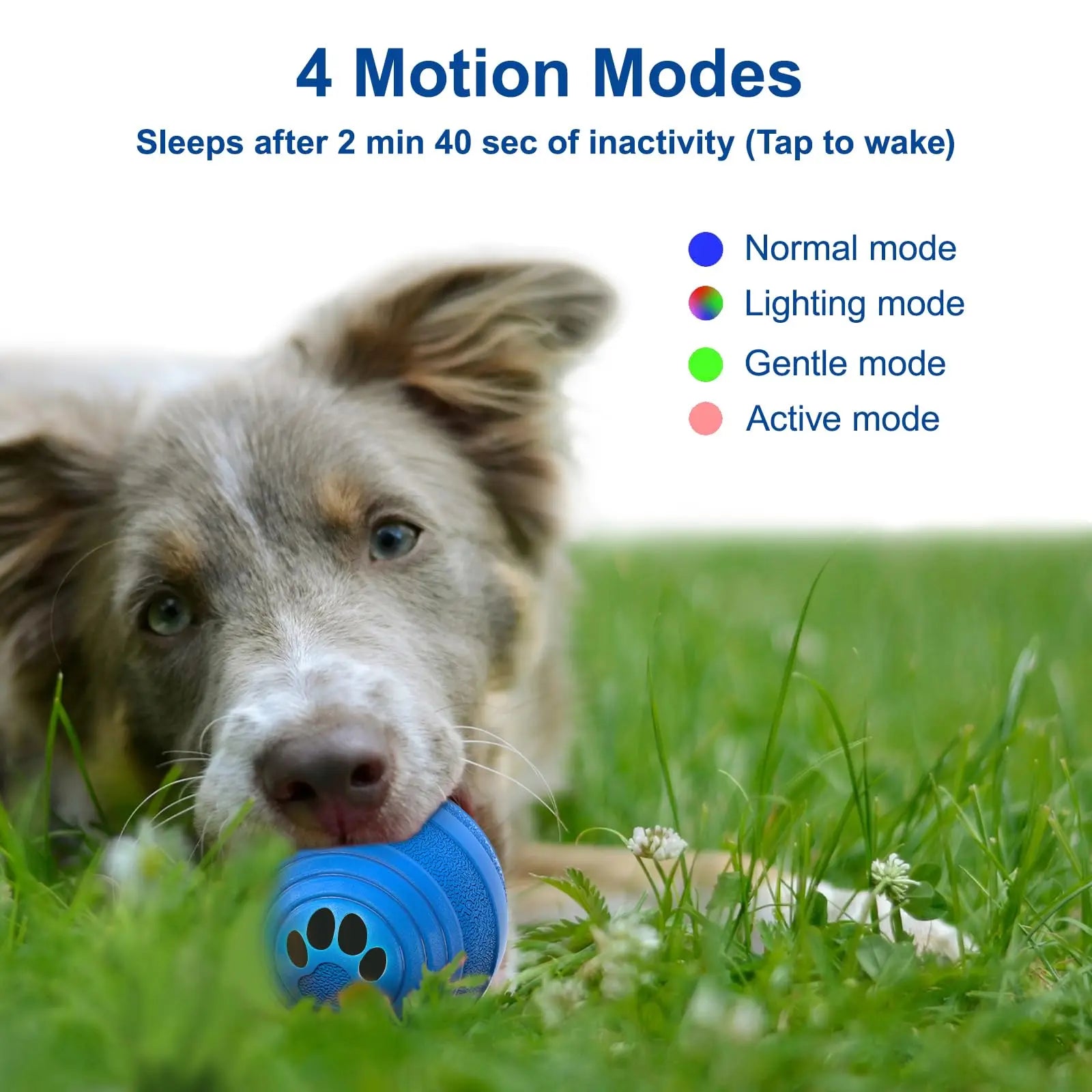 Dog Ball - Smart Toy for Small and Medium Dogs, Automatic Moving Ball, Rotating & Bouncing, Durable TPU+PC Shell, Toys That Kee