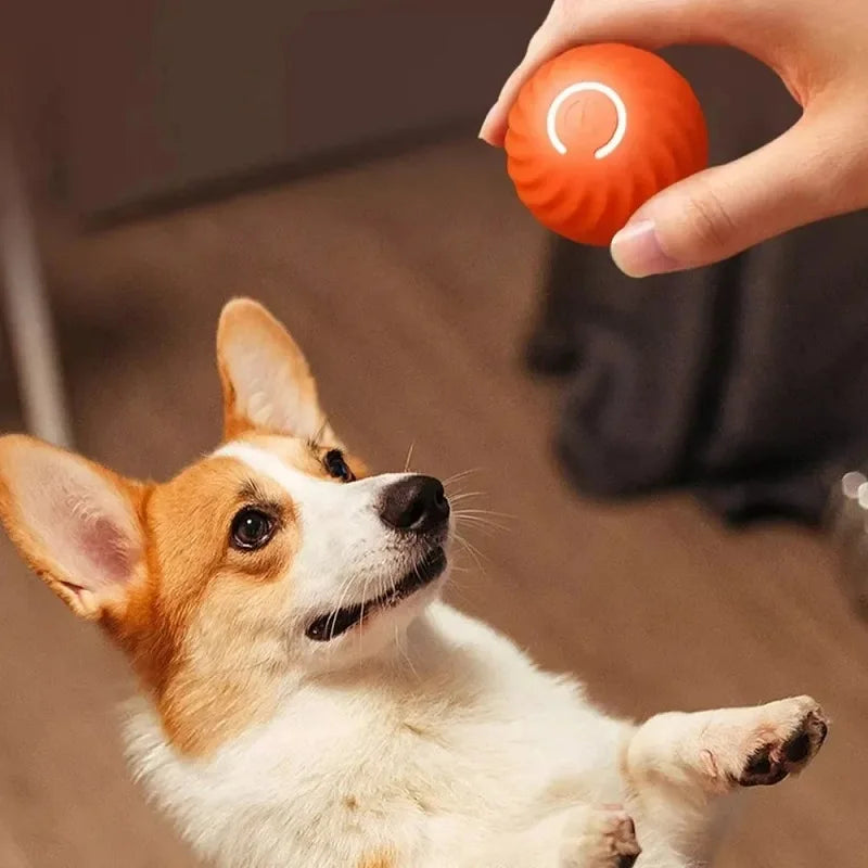 Dog Toy Ball With Automatic Movement, Bouncing Ball, Intelligent Usb Charging, Interactive Ball For Dogs, Chew Toy Ball For Dogs