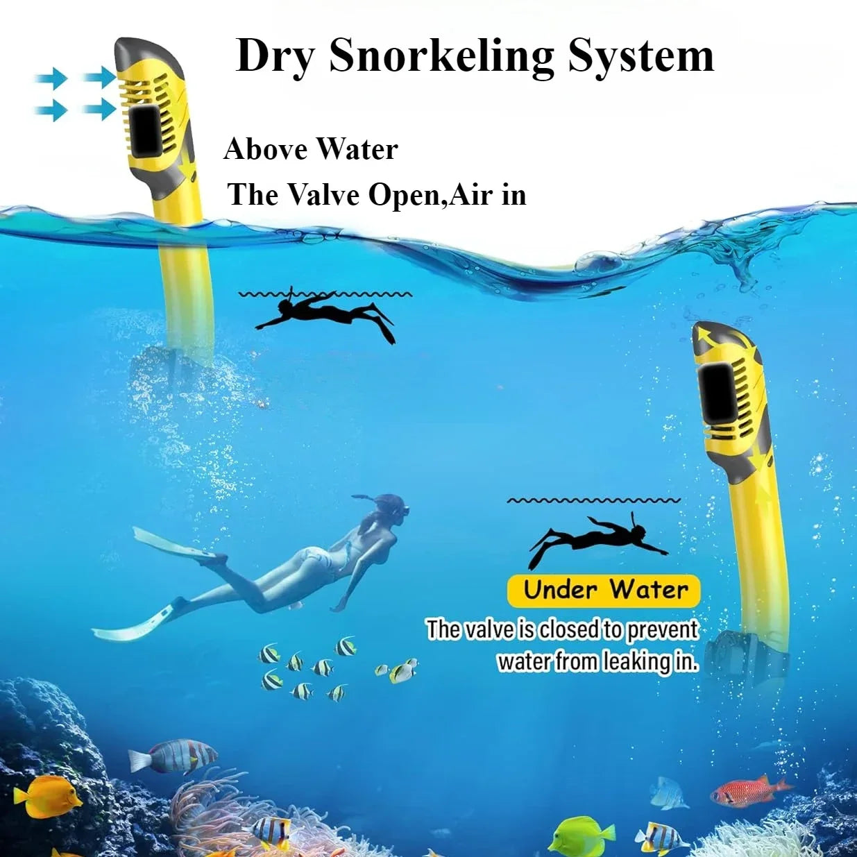 Myopia Snorkel & Dive Mask for Adults with Anti-Fog Spray ,Box,Dry Top Snorkel, Adjustable Strap Free Breathing Design
