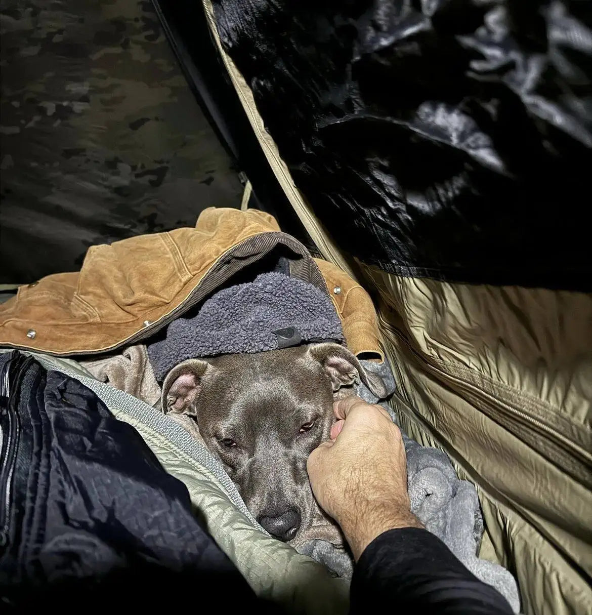 Outdoor Single Camping Tent Ultra light Hiking Tent, Double-layer Marching Camouflage Rainproof Tent trekking Shelter Tent