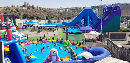 Commercial Water Park Waterslide Inflatable Kids Slide Pvc Toy Custom Inflatable Multiple Slides Children Water Slide With Pool