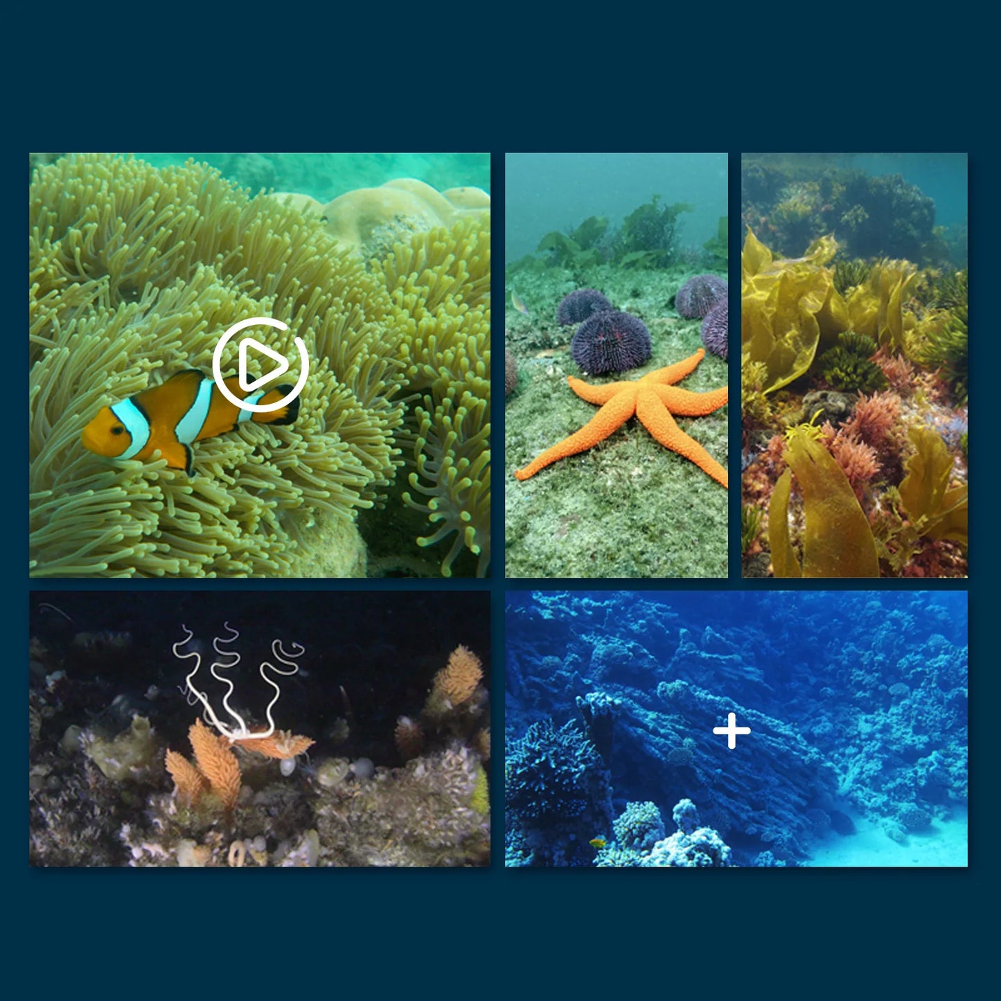 RAYS Underwater Camera Rc Boat Mini Wifi Remote Control Six Channel Real Time Transmission Photo Video Underwater Exploration