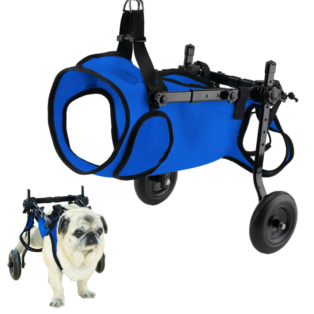 Dog injury rehabilitation car, small dog, elderly dog, assisted commuting car, disabled car, dog walking assistance car