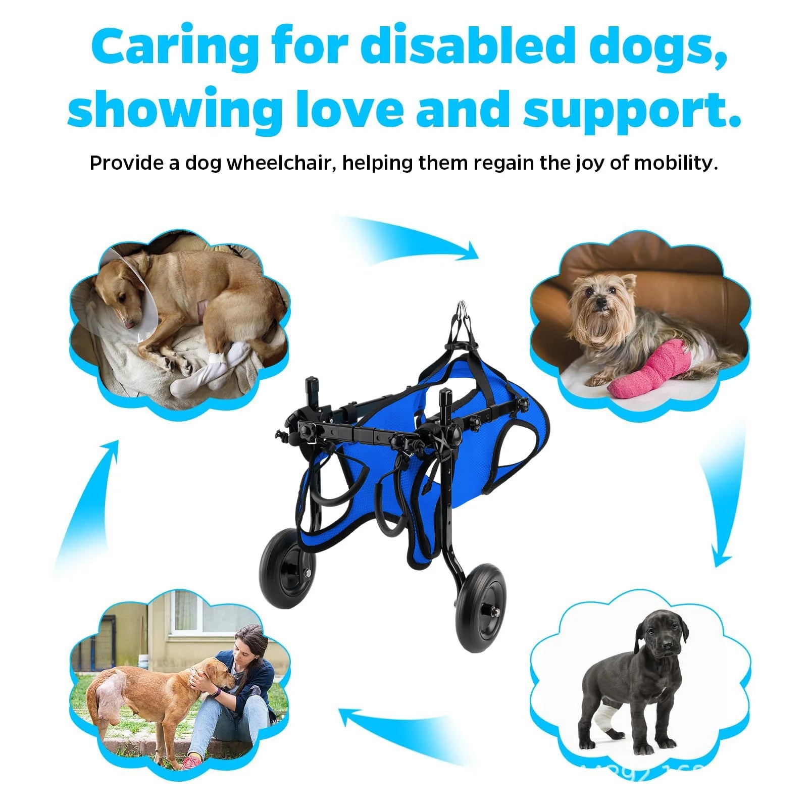Dog injury rehabilitation car, small dog, elderly dog, assisted commuting car, disabled car, dog walking assistance car