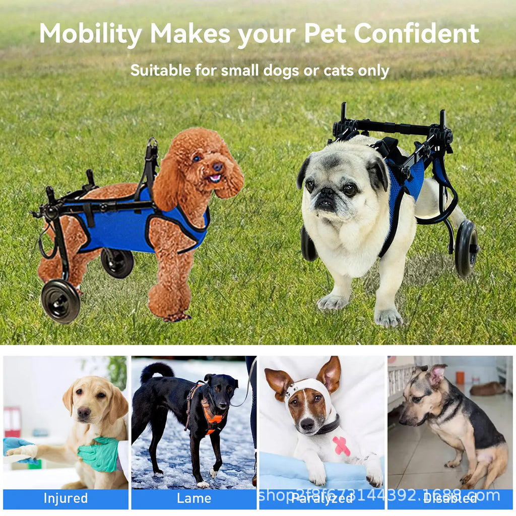 Dog injury rehabilitation car, small dog, elderly dog, assisted commuting car, disabled car, dog walking assistance car