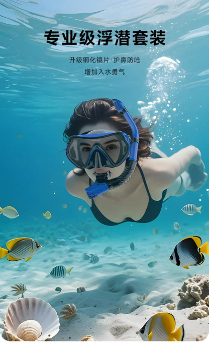 Diving Mask Snorkeling Full Dry Breathing Tube Set, Large Frame Swimming Goggles, Liquid Silicone Diving Mask