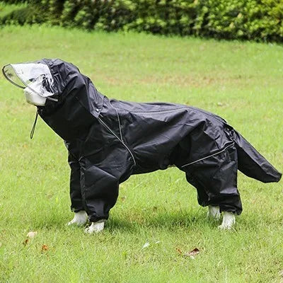 Pet dog, big dog, medium to large dog, golden haired Samoyed, Alaska, all inclusive raincoat, hooded bag, tail rain gear