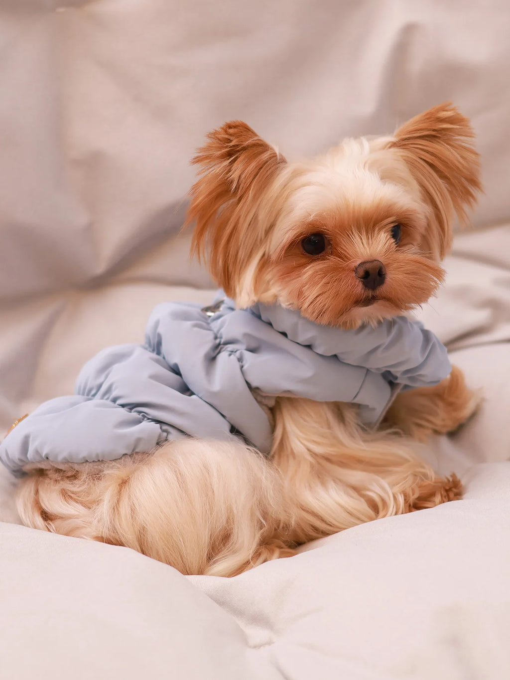 Dog Jacket For Autumn/Winter, Pet Coat, 3-Layer Thick Warm Outerwear, Suitable For Small To Medium Dogs Like Poodle, Teddy, York