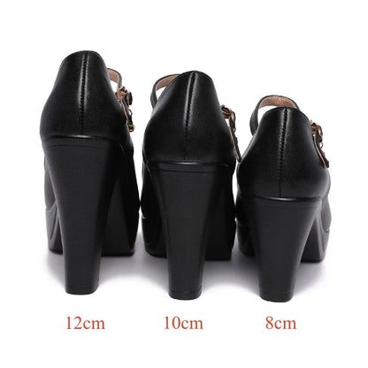 8 10 12cm Small Size 32-43 Shallow Thick Bottom Platform Pumps Women 2025 Block High Heels Shoes for Office Model Wedding Dress