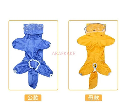 Pet dog, big dog, medium to large dog, golden haired Samoyed, Alaska, all inclusive raincoat, hooded bag, tail rain gear