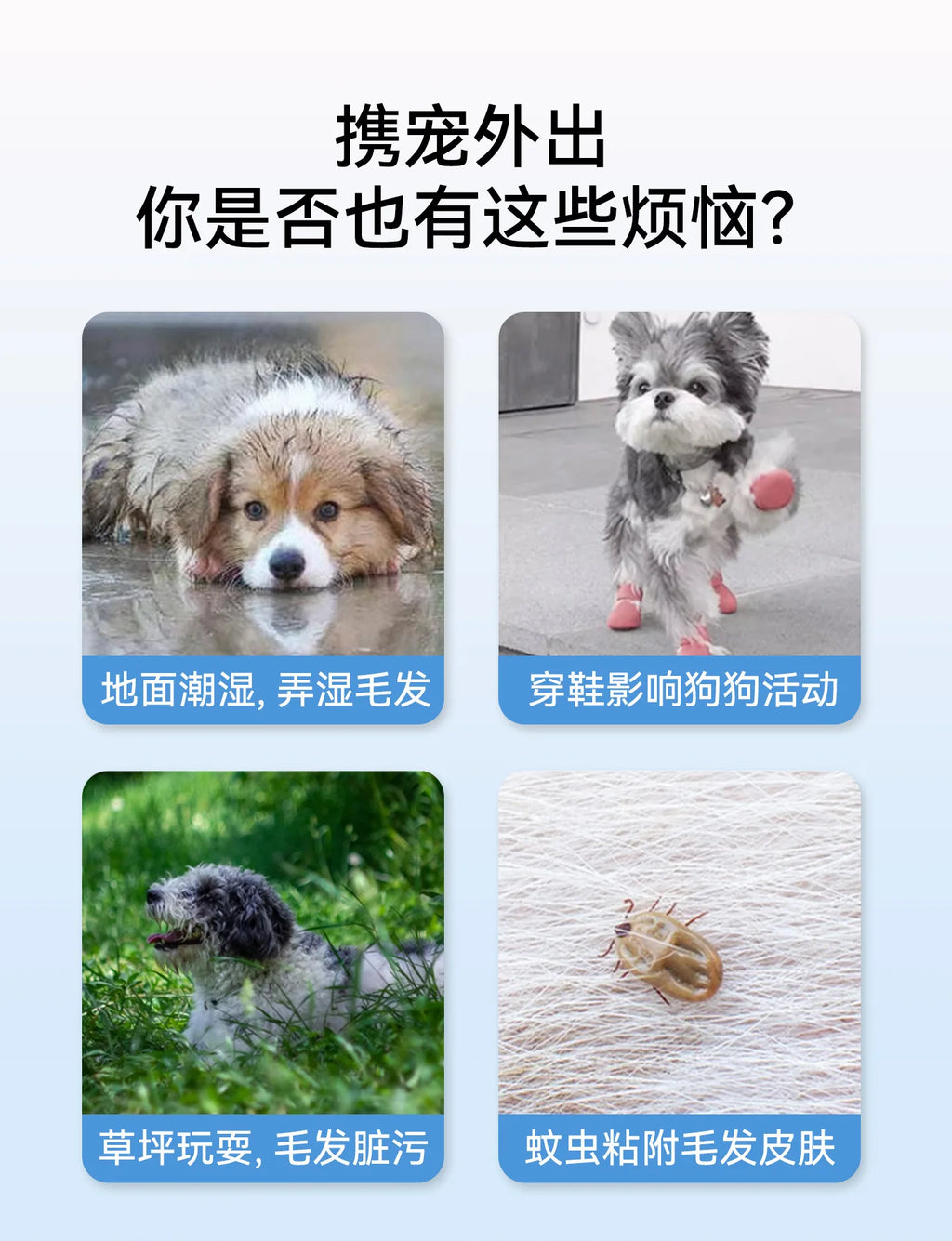 Dog full package with stomach protection and feet, dust-proof pants for winter outings, dirt proof and plush warm pet clothes