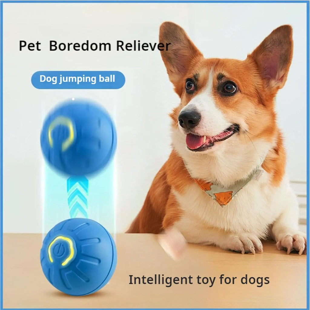 Dog Ball,Automatic Bouncing Ball for Dogs, Puppy Essentials, Vibrating Dog Ball, Dog Birthday, Interactive Dog Toys