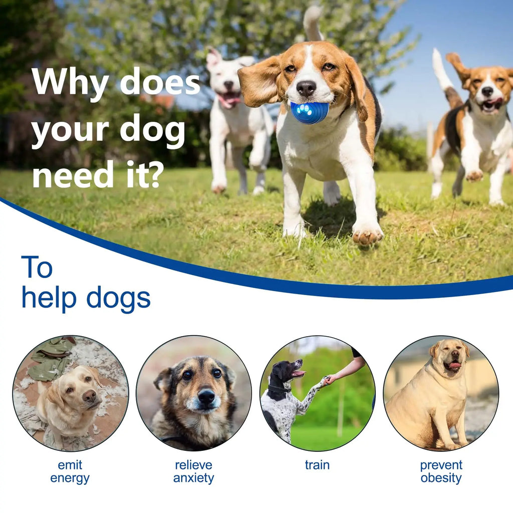 Dog Ball - Smart Toy for Small and Medium Dogs, Automatic Moving Ball, Rotating & Bouncing, Durable TPU+PC Shell, Toys That Kee