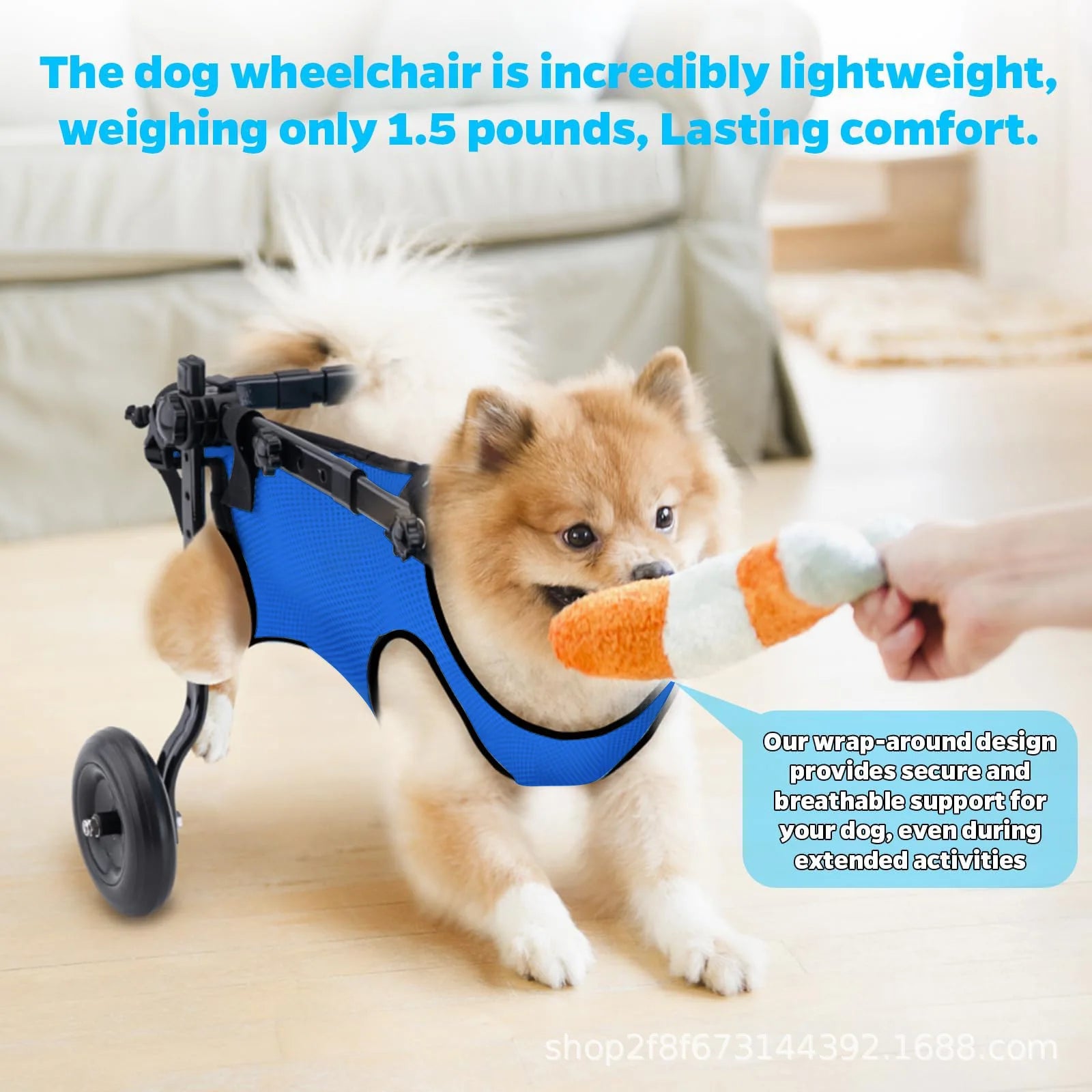 Dog injury rehabilitation car, small dog, elderly dog, assisted commuting car, disabled car, dog walking assistance car