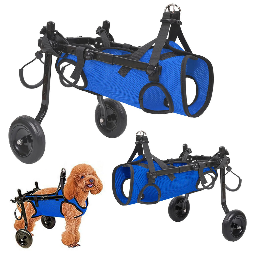Dog injury rehabilitation car, small dog, elderly dog, assisted commuting car, disabled car, dog walking assistance car