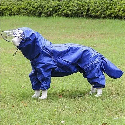 Pet dog, big dog, medium to large dog, golden haired Samoyed, Alaska, all inclusive raincoat, hooded bag, tail rain gear