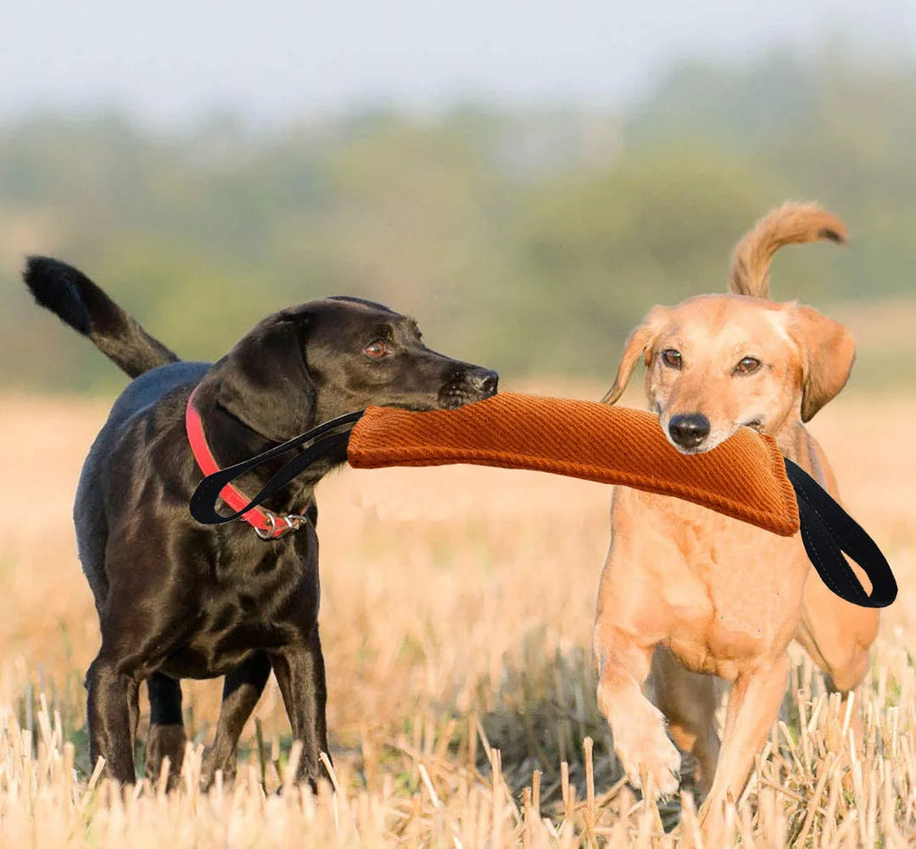 Dog training supplies, suitable for small and medium-sized dogs to increase interaction with dogs and improve intimacy